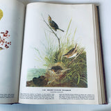 The Birds Of America By John James Audubon HC Book 1946 Facsimile Macmillan