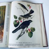 The Birds Of America By John James Audubon HC Book 1946 Facsimile Macmillan