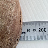 Vintage Godfrey of Melbourne Wooden Hat Block Mold Milliner’s Mould Millinery Form
