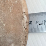 Vintage Godfrey of Melbourne Wooden Hat Block Mold Milliner’s Mould Millinery Form