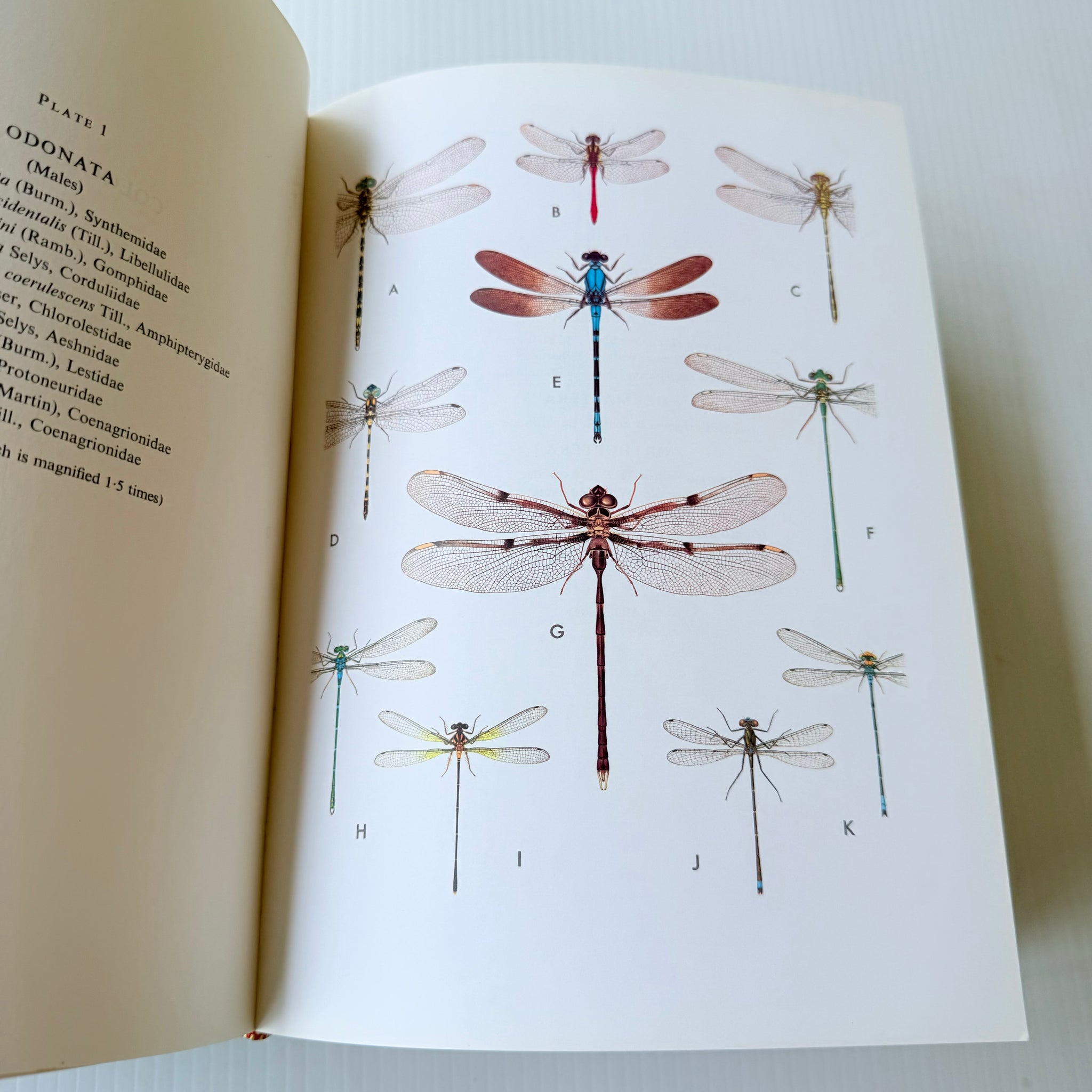 Csiro Insect The Insects Of Australia A Textbook for Students and Research Workers ...
