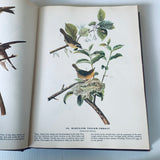 The Birds Of America By John James Audubon HC Book 1946 Facsimile Macmillan