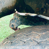 Series II 2 ii 109” Land Rover For Restoration