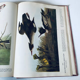 The Birds Of America By John James Audubon HC Book 1946 Facsimile Macmillan