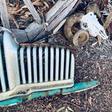 Classic FX Holden 48-215 Grille Grill