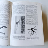 The Insects Of Australia A Textbook for Students and Research Workers CSIRO 1973