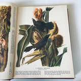 The Birds Of America By John James Audubon HC Book 1946 Facsimile Macmillan