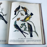 The Birds Of America By John James Audubon HC Book 1946 Facsimile Macmillan