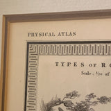 Framed Engraved Plate From The Physical Atlas Of c.1850 Depicting Geographical Distribution Of Rodentia And Ruminantia