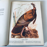 The Birds Of America By John James Audubon HC Book 1946 Facsimile Macmillan