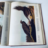 The Birds Of America By John James Audubon HC Book 1946 Facsimile Macmillan