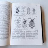 The Insects Of Australia A Textbook for Students and Research Workers CSIRO 1973