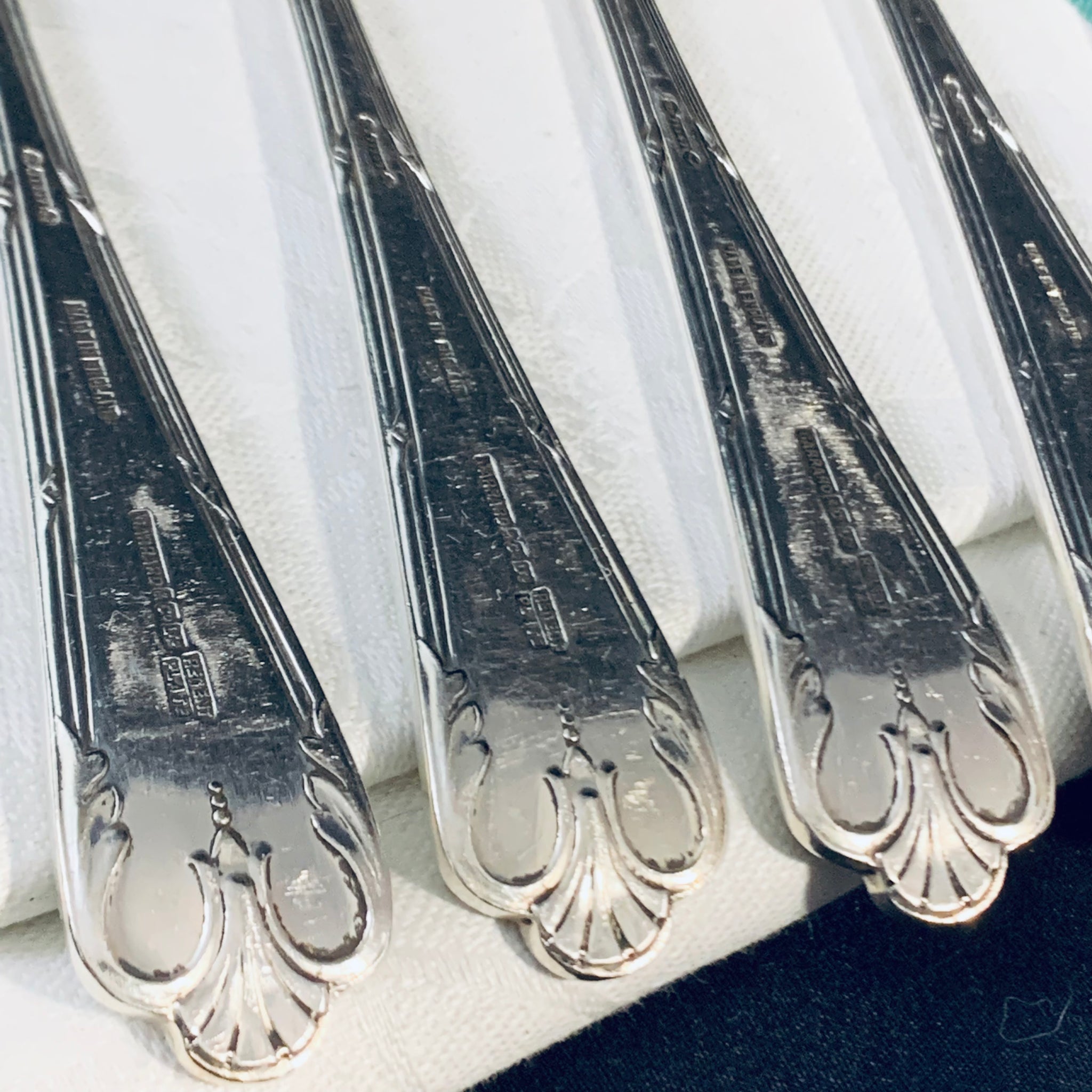 Amazon.com: MEPRA Vintage 1026VI22075 75 Pcs Flatware Set